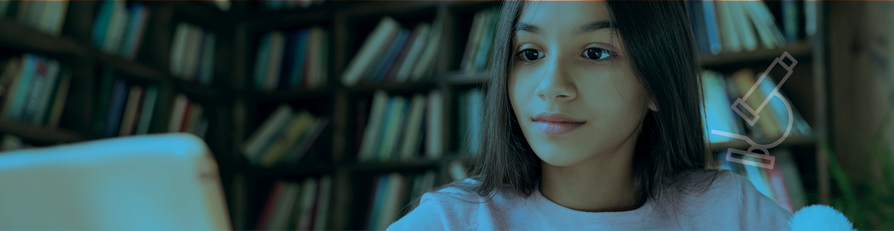 Support for ESOL in your school